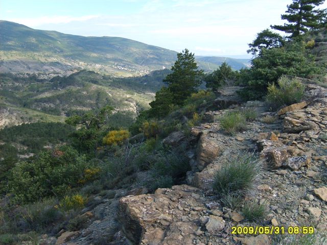 S5001458.JPG