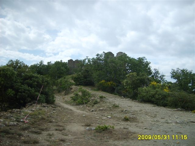 S5001541.JPG
